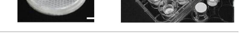 셀로이드 제품 이미지