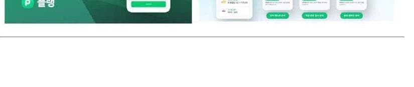 플랭 제품 이미지