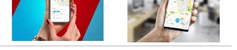 파파야 제품 이미지