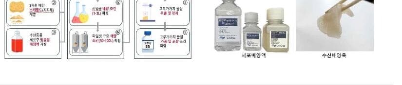 셀쿠아 제품 이미지