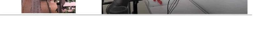 쎄슬프라이머스 제품 이미지