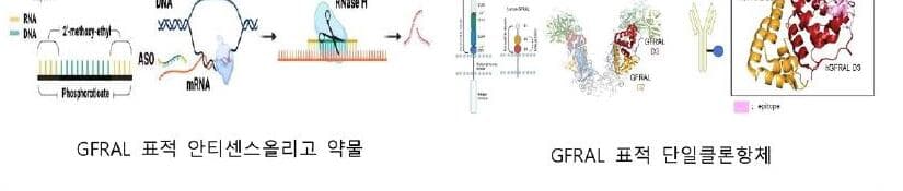 토르테라퓨틱스 제품 이미지