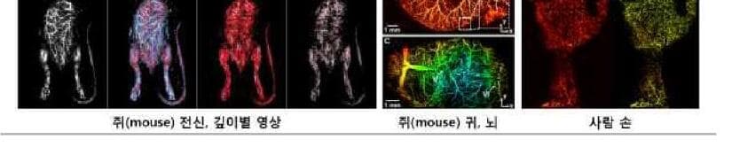옵티코 제품 이미지