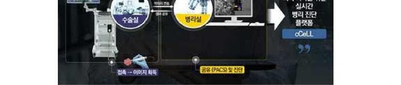 브이픽스메디칼 제품 이미지