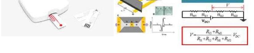 셀라바이오텍 제품 이미지