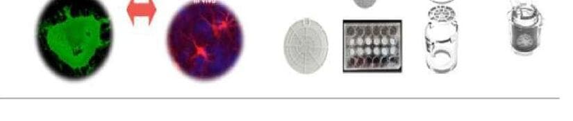 에스티원 제품 이미지