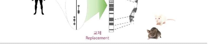 지에이치바이오 제품 이미지