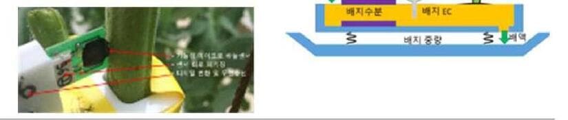 텔로팜 제품 이미지