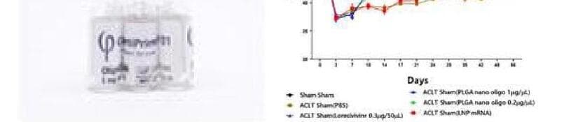 카티프라임 제품 이미지