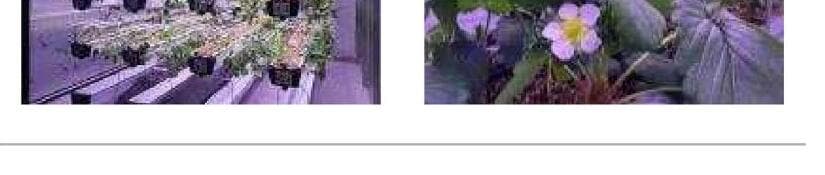 퍼밋 제품 이미지