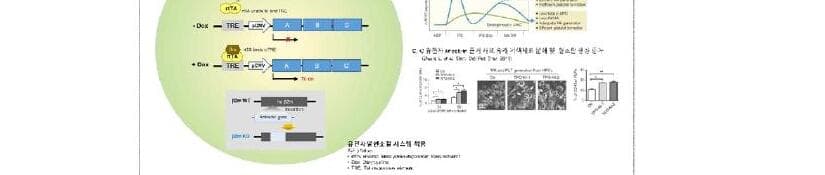 듀셀바이오테라퓨틱스 제품 이미지