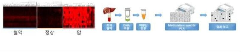 레피다인 제품 이미지