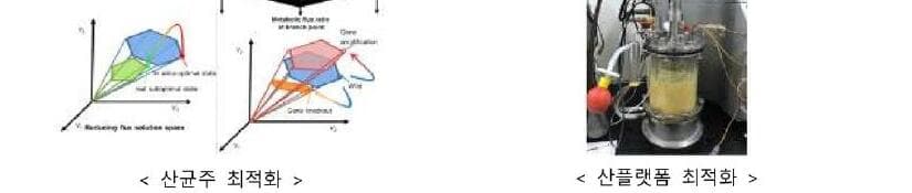 메디코스바이오텍 제품 이미지