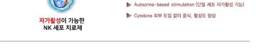 씨티셀즈 제품 이미지