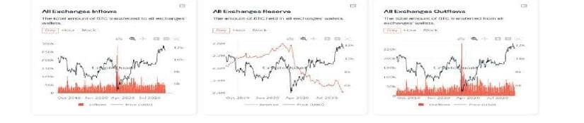 팀블랙버드 제품 이미지