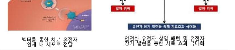 바이오디자인랩 제품 이미지
