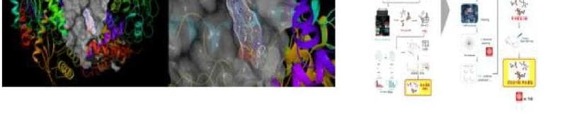 바이오아틀라스 제품 이미지