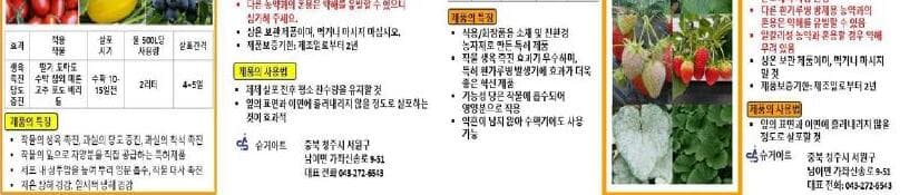 슈거아트 제품 이미지