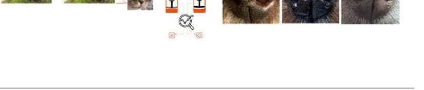 펫나우 제품 이미지