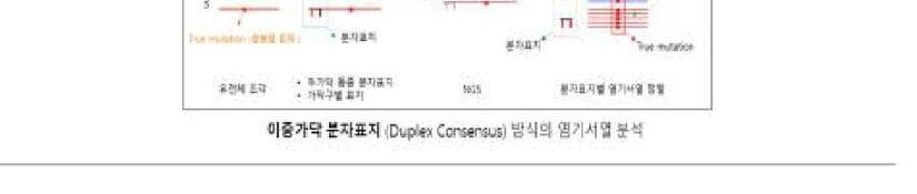 키오믹스 제품 이미지