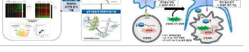 네오나 제품 이미지
