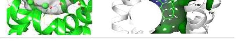 인세리브로 제품 이미지