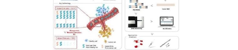 진씨커 제품 이미지
