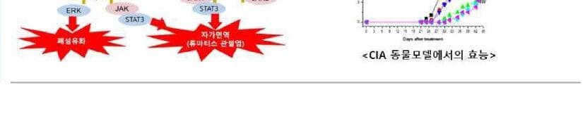 프리모테라 제품 이미지