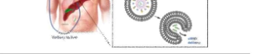 테르나테라퓨틱스 제품 이미지