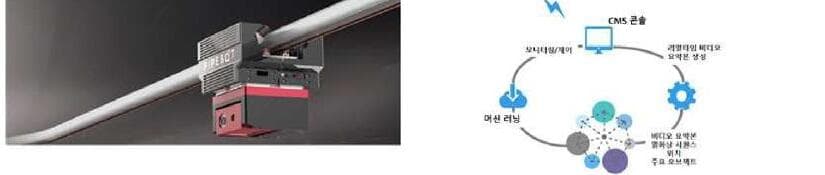 비투코리아 제품 이미지