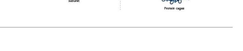 백스다임 제품 이미지