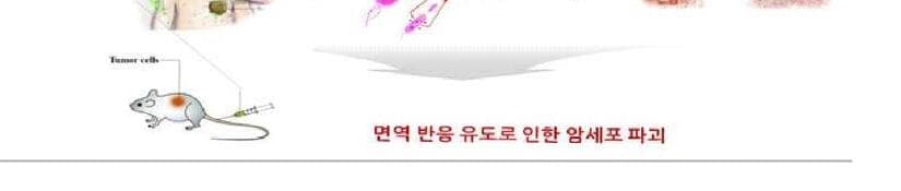 최현일바이오랩 제품 이미지