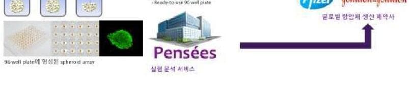 팡세 제품 이미지