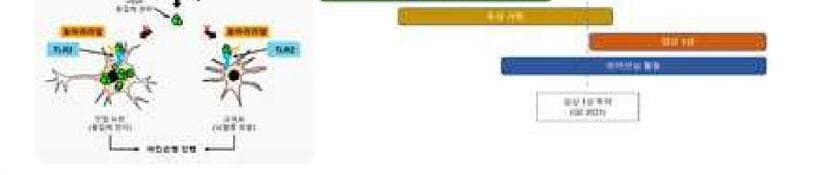 뉴라메디 제품 이미지