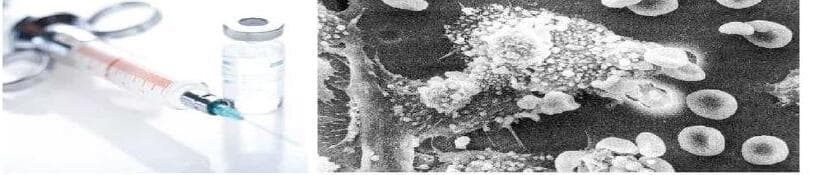 케이더블유바이오 제품 이미지