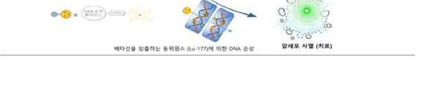 씨바이오멕스 제품 이미지