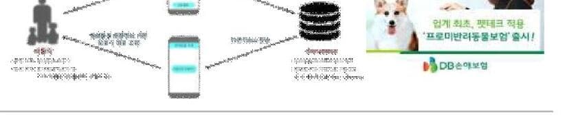 핏펫 제품 이미지