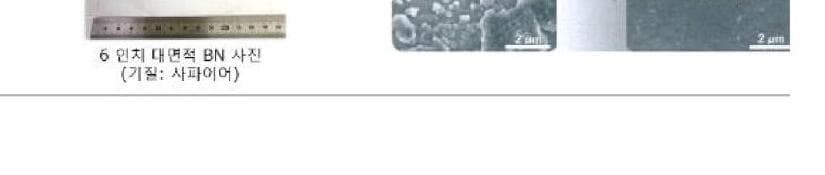 넥스티리얼즈 제품 이미지