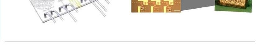 엘엠엔틱바이오텍 제품 이미지