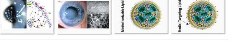 메디치바이오 제품 이미지