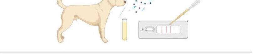 키베이직 제품 이미지