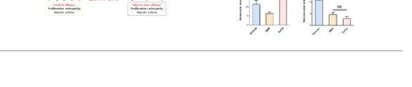 스마틴바이오 제품 이미지