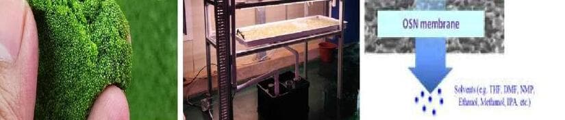 바이루트 제품 이미지