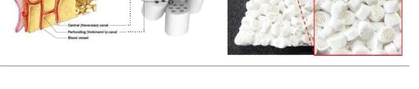 이노본 제품 이미지