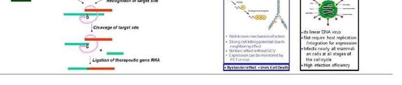 알지노믹스 제품 이미지