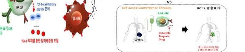 유씨아이테라퓨틱스 제품 이미지