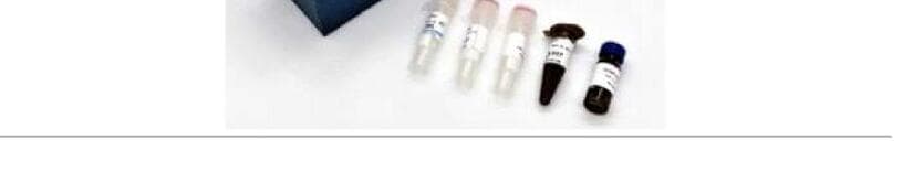 엔이에스바이오테크놀러지 제품 이미지