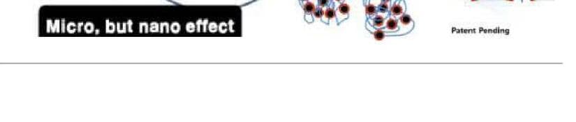 에이스틴 제품 이미지