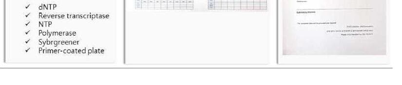 온코인 제품 이미지