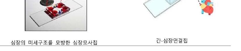 휴먼에이스 제품 이미지